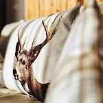 Apartman Schneeweiss Lifestyle - - Living Serfaus